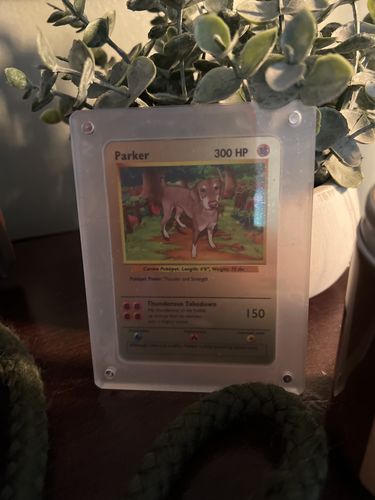 Customer photo review of Pokepet