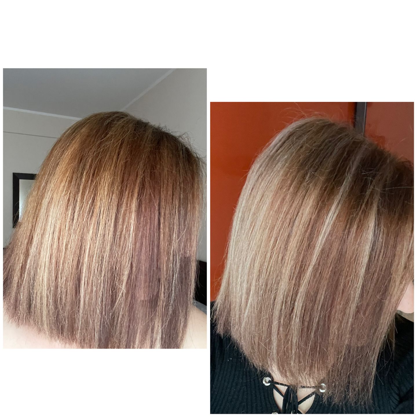 Customer photo review of Perla 1L