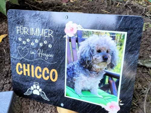 Customer photo review of Schlüssel- Anhänger mit Foto "Hund"