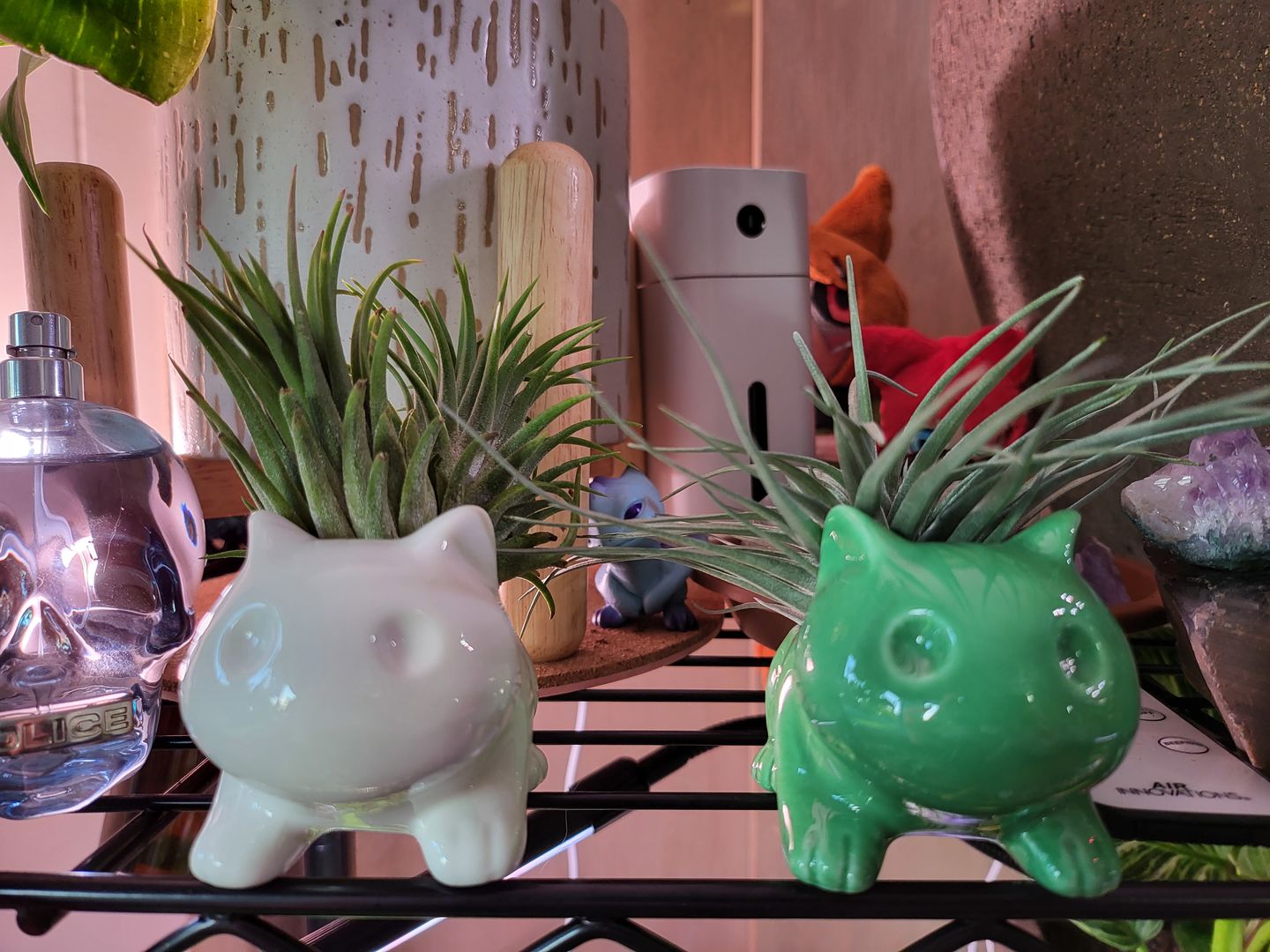 Customer photo review of Bulbasaur Planter  (Includes Drainage Hole For Non Air Plants)