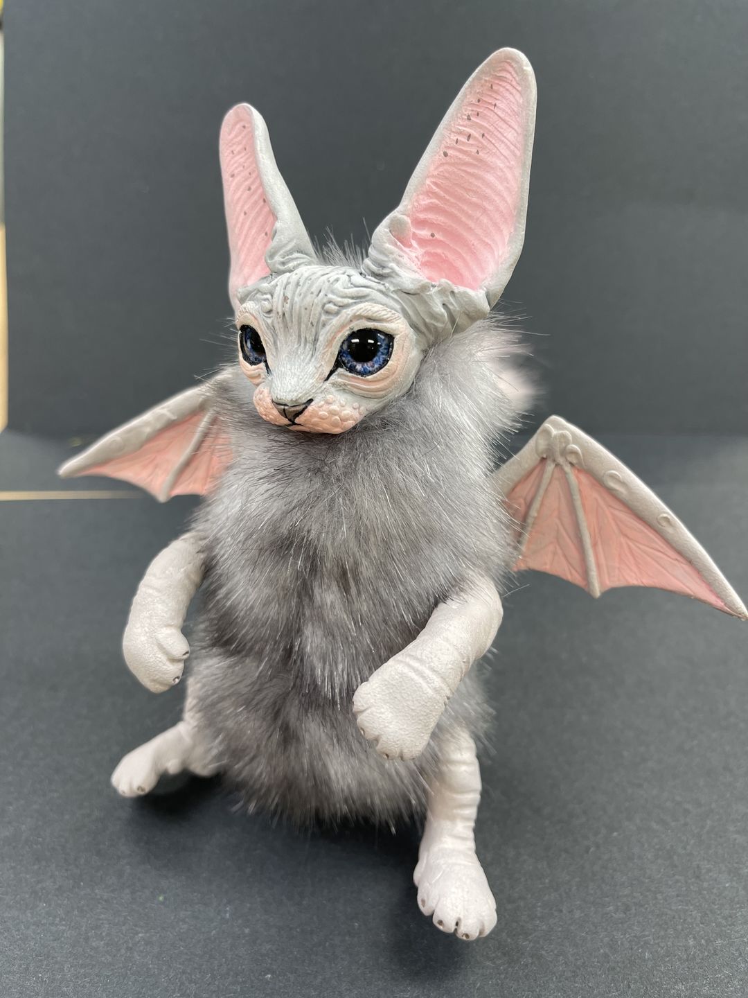 Customer photo review of Baby batcat