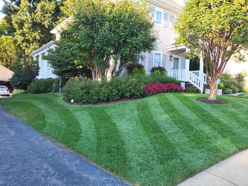 Customer photo review of Cool Season Lawn Care Guide