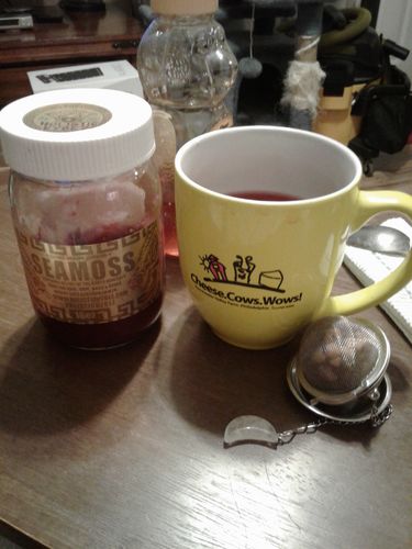 Customer photo review of Electric Dragon Sea Moss Gel