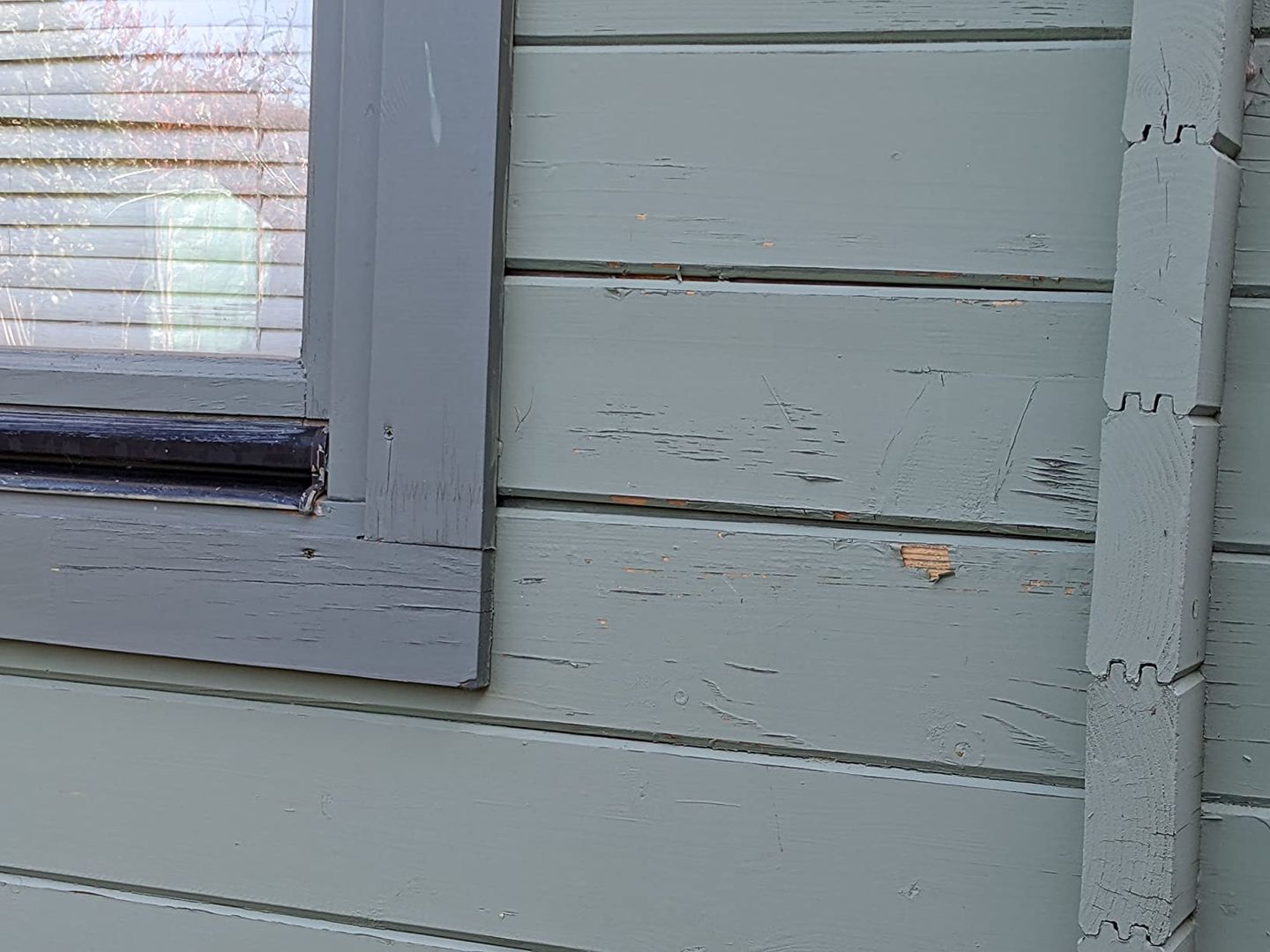Customer photo review of HQC Garden Paint