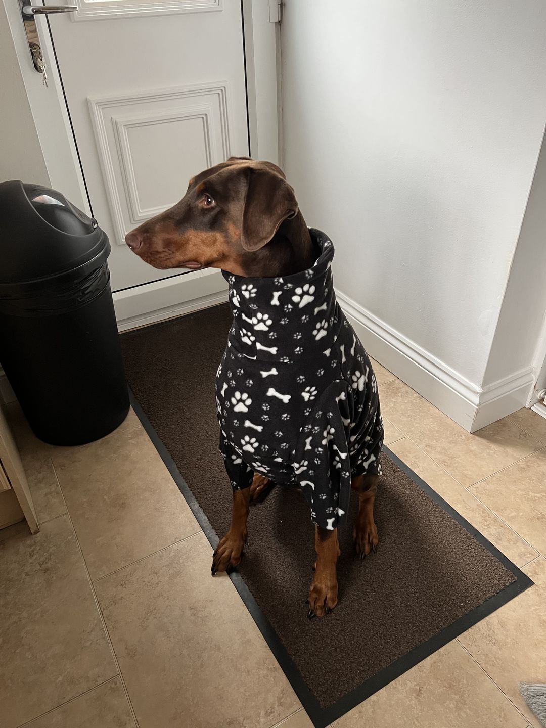 Customer photo review of Paw Print & Bones Anti Pill Polar Fleece Fabric