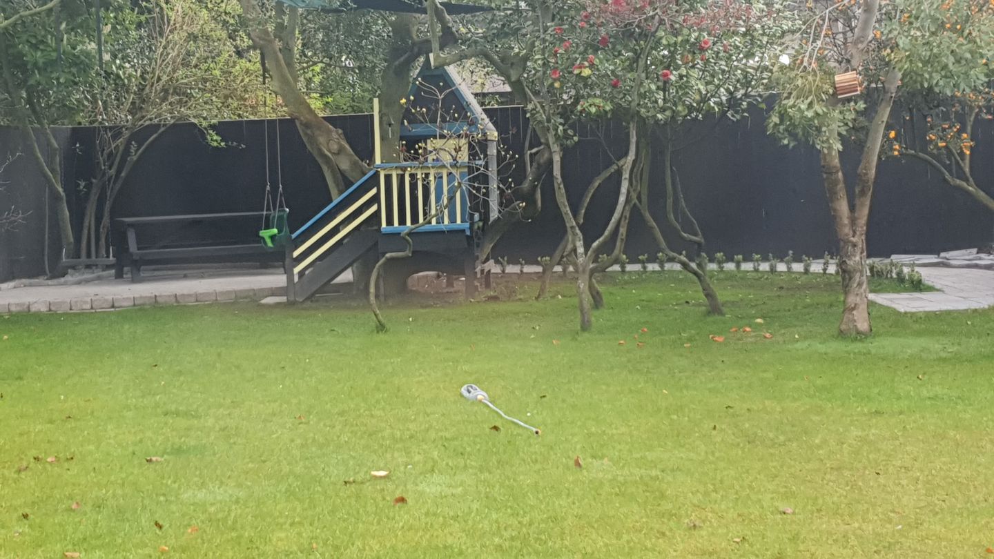 Customer photo review of HQC Garden Paint