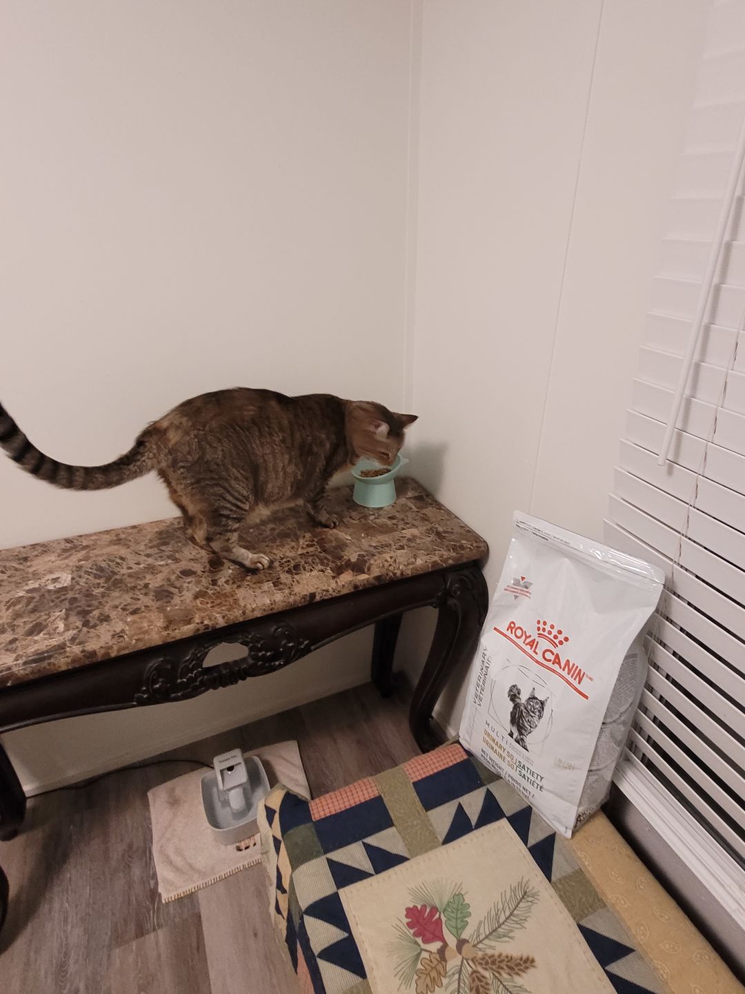 Customer photo review of Royal Canin Veterinary Diet - Urinary + Satiety Dry Cat Food