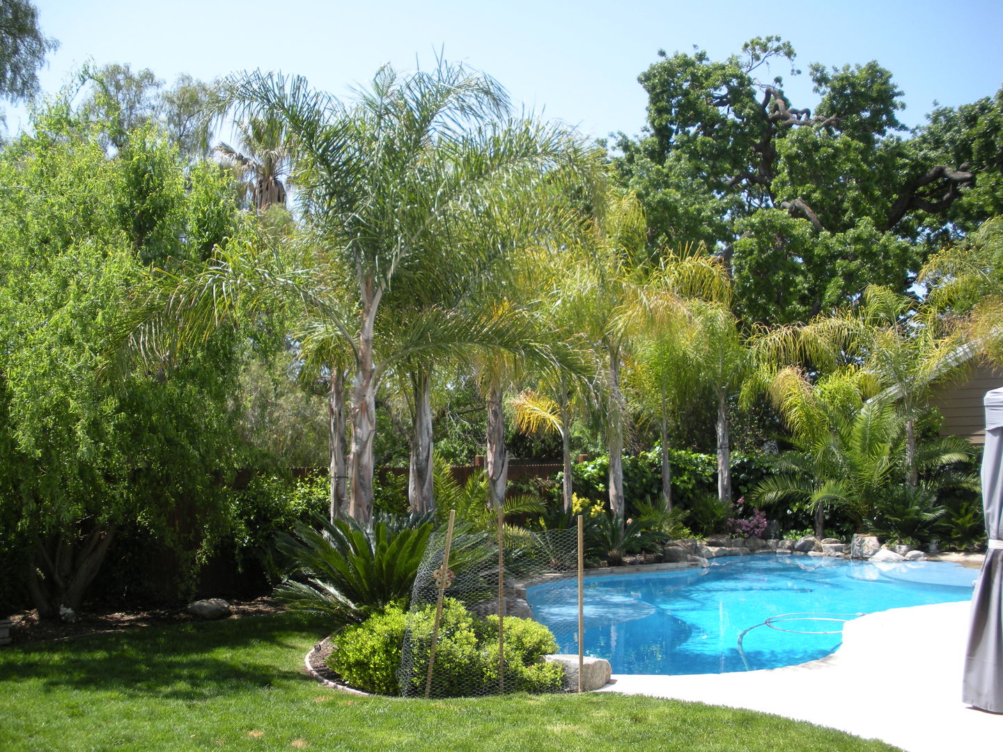 Customer photo review of Maytronics Dolphin M600 Robotic Pool Cleaner