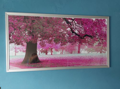 Customer photo review of Árbol de Flor de Cerezo