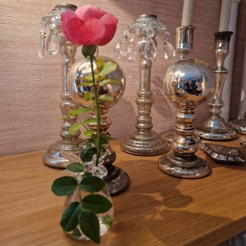 Customer photo review of Mon petit ange gardien