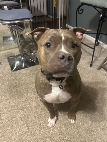 Customer photo review of Black