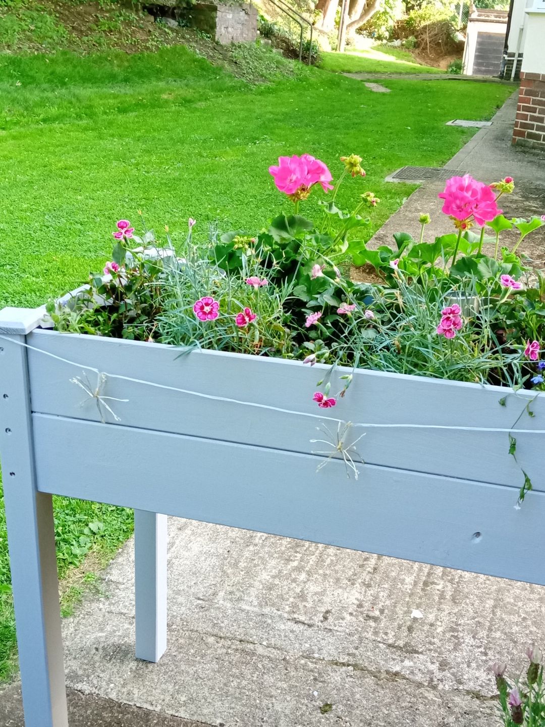 Customer photo review of HQC Garden Paint