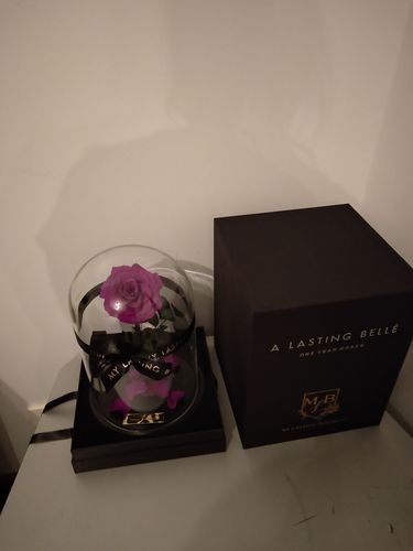 Customer photo review of Royal Purple Lasting Belle