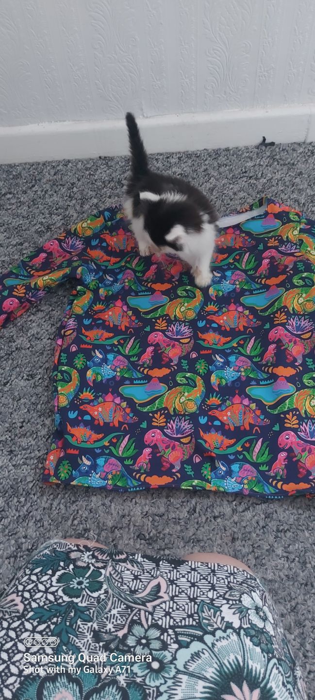 Customer photo review of Multicoloured Dinosaurs on Navy French Terry Fabric