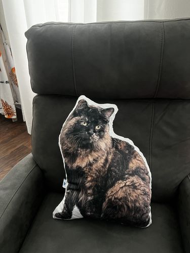 Customer photo review of Create A Custom Anything Pillow