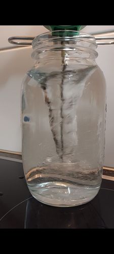 Customer photo review of CELLAVITA Hexagonwasser® Handwirbler