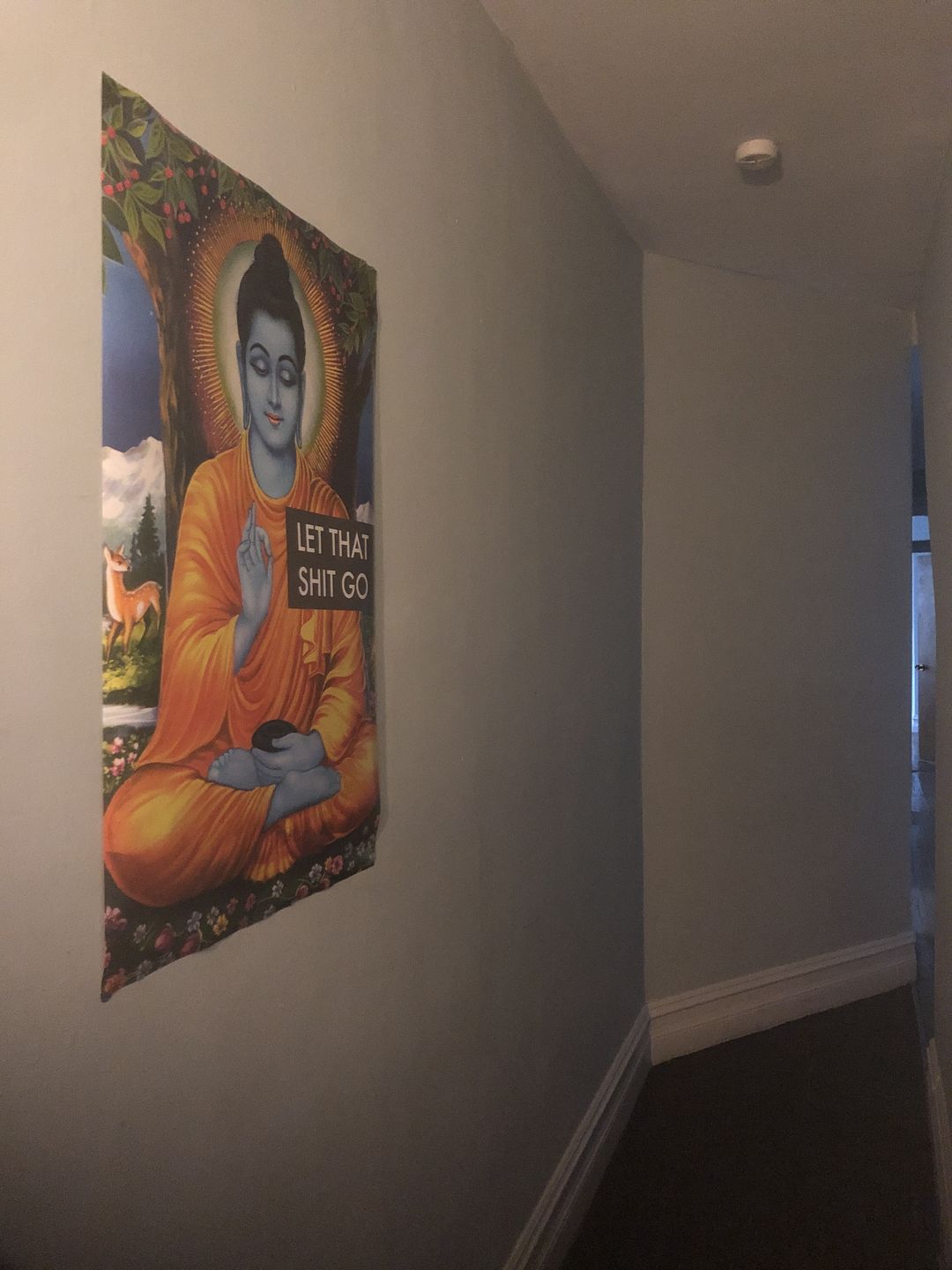 Customer photo review of Let That Shit Go Buddha Poster