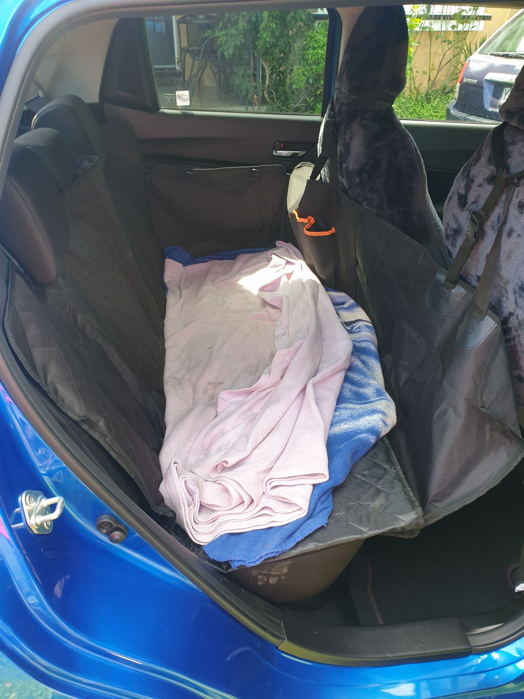 Customer photo review of Pawz Back Seat Cover