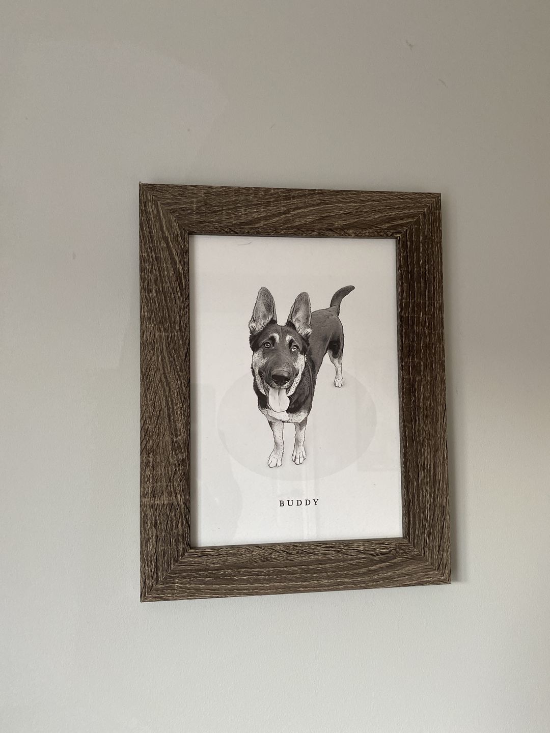Customer photo review of Custom Pet Portrait From Your Photos – Black & White