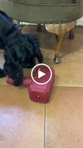 Customer video review of The Fenrir Hammer