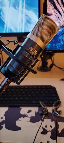 Customer photo review of Mini K87 Condenser Microphone