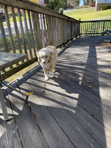 Customer photo review of Anime