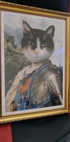 Customer photo review of The Lord Protector - Custom Vintage Pet Portrait