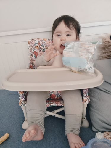 Customer photo review of Paloma baby chair