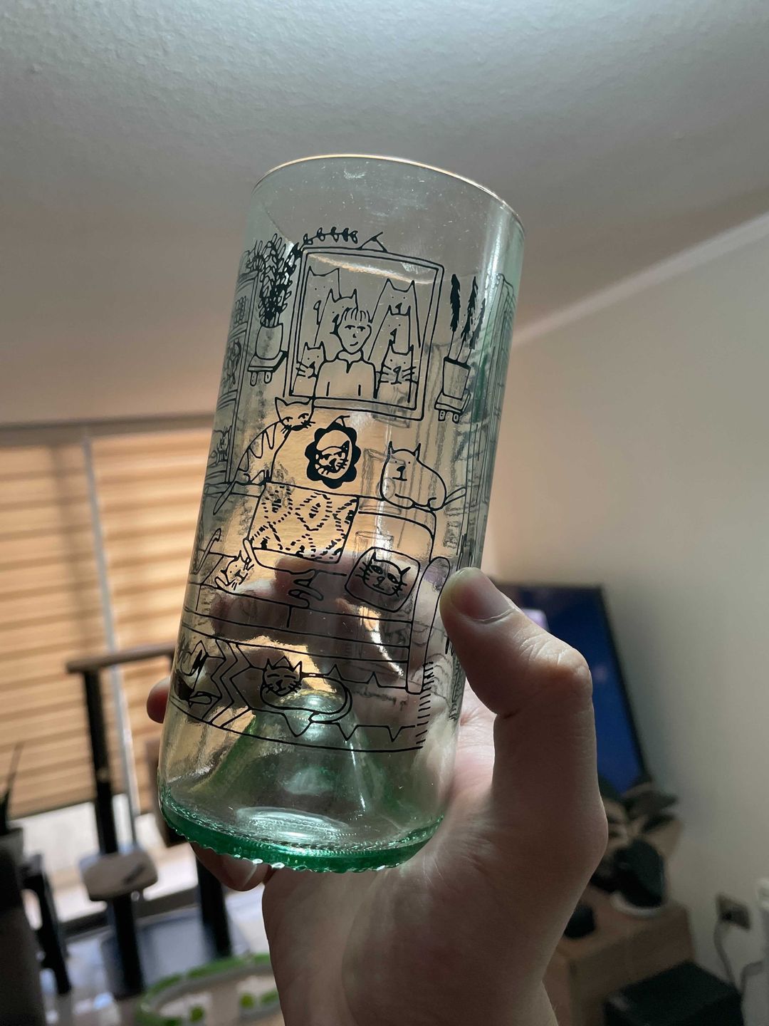 Customer photo review of Cat Lover Juego de 6 Vasos Gatunos 500ML