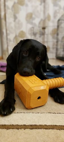 Customer photo review of The Fenrir Hammer