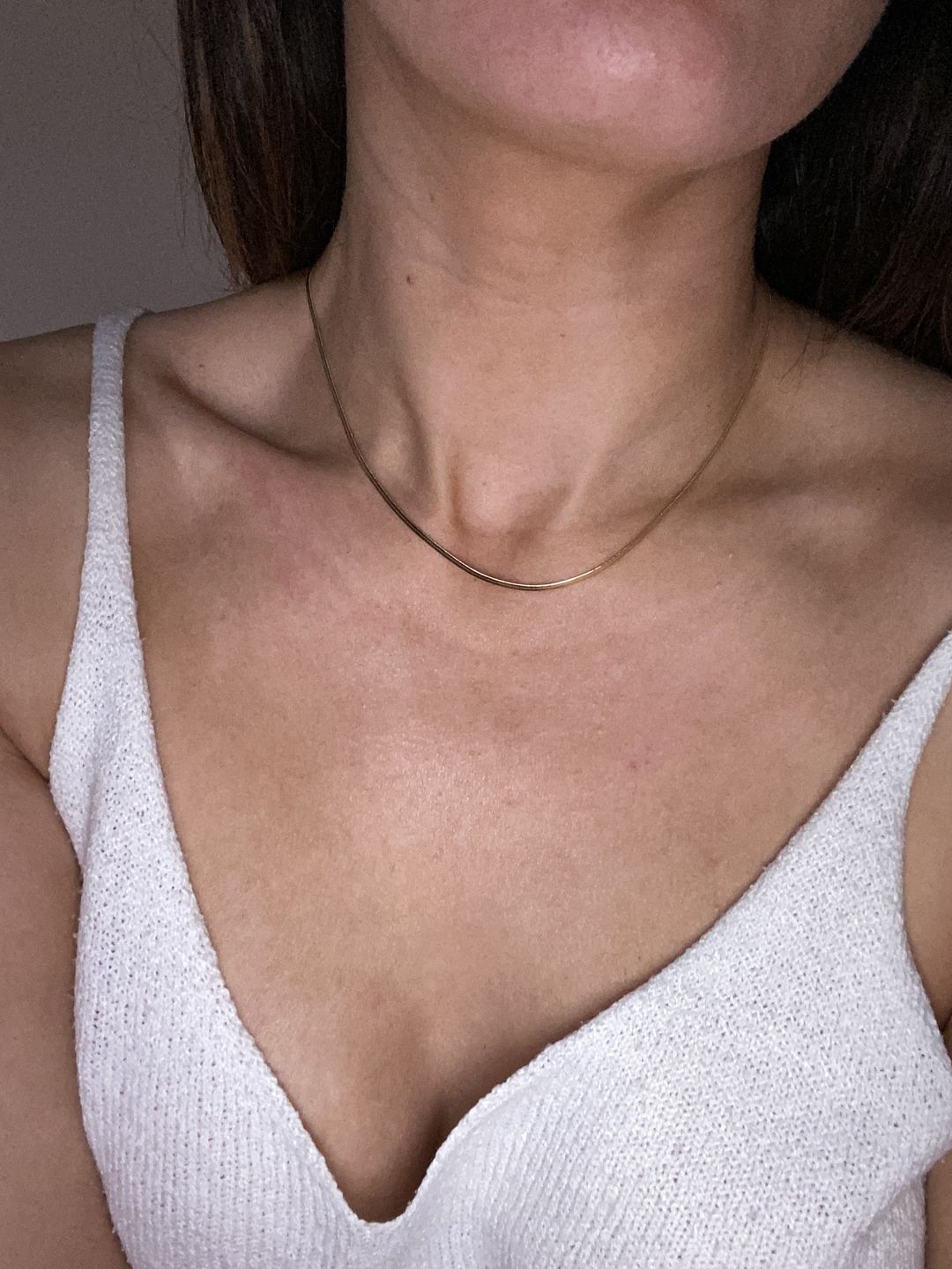 Customer photo review of Fine Essentials Necklace