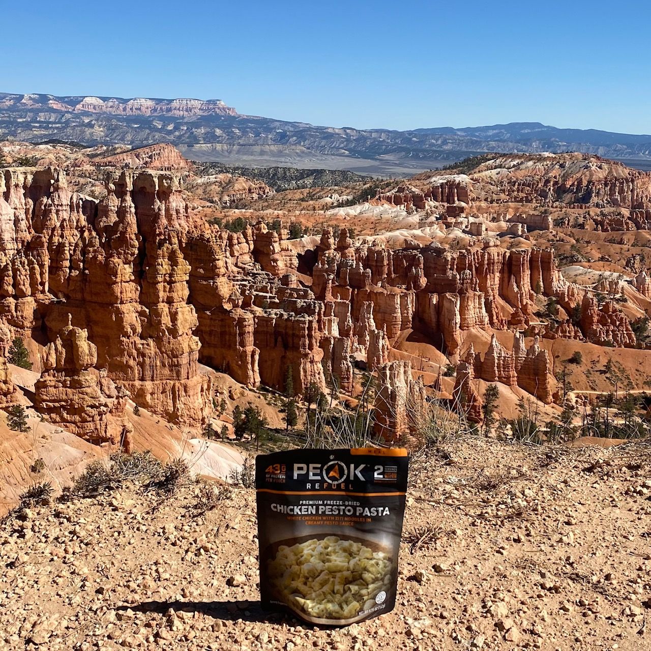 Customer photo review of Chicken Pesto Pasta