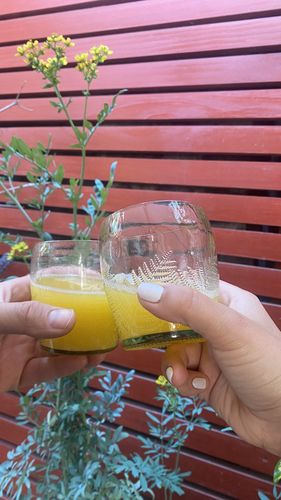 Customer photo review of Puyehue Mini Juego de 6 Vasos
