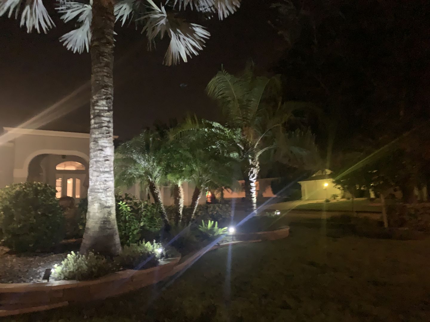 Customer photo review of TSUN Solar Spotlights For Trees Cool White