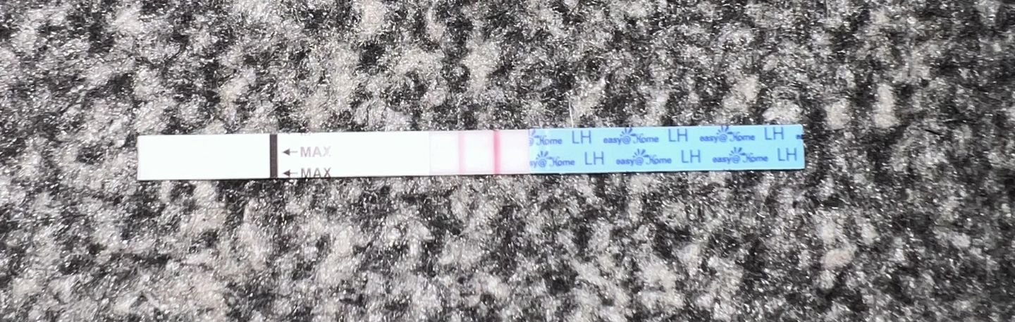 Customer photo review of Fertility Tea