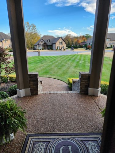 Customer photo review of Perennial Ryegrass Seed