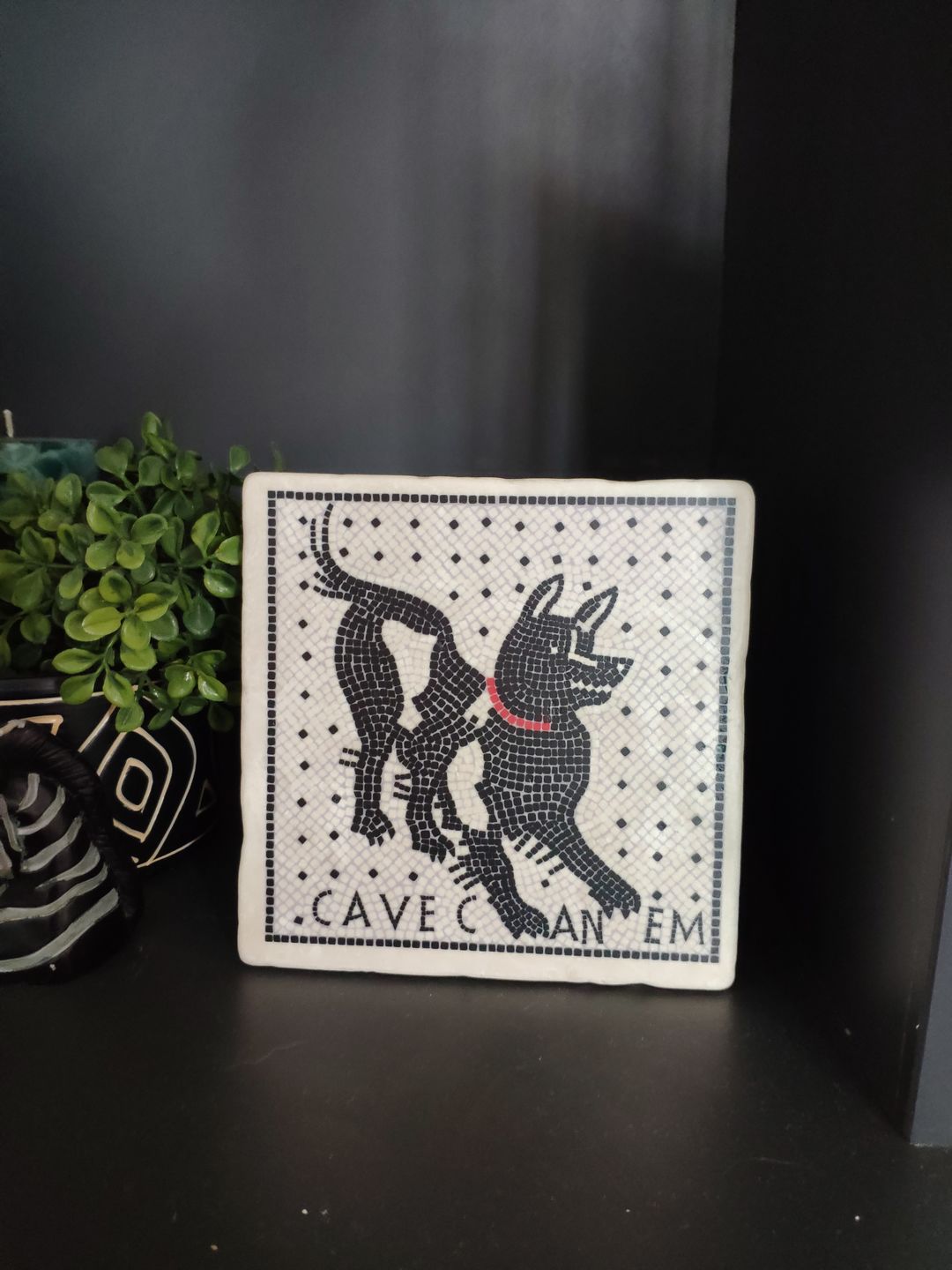 Customer photo review of Cave Canem mosaico di Pompei - mattonella in marmo