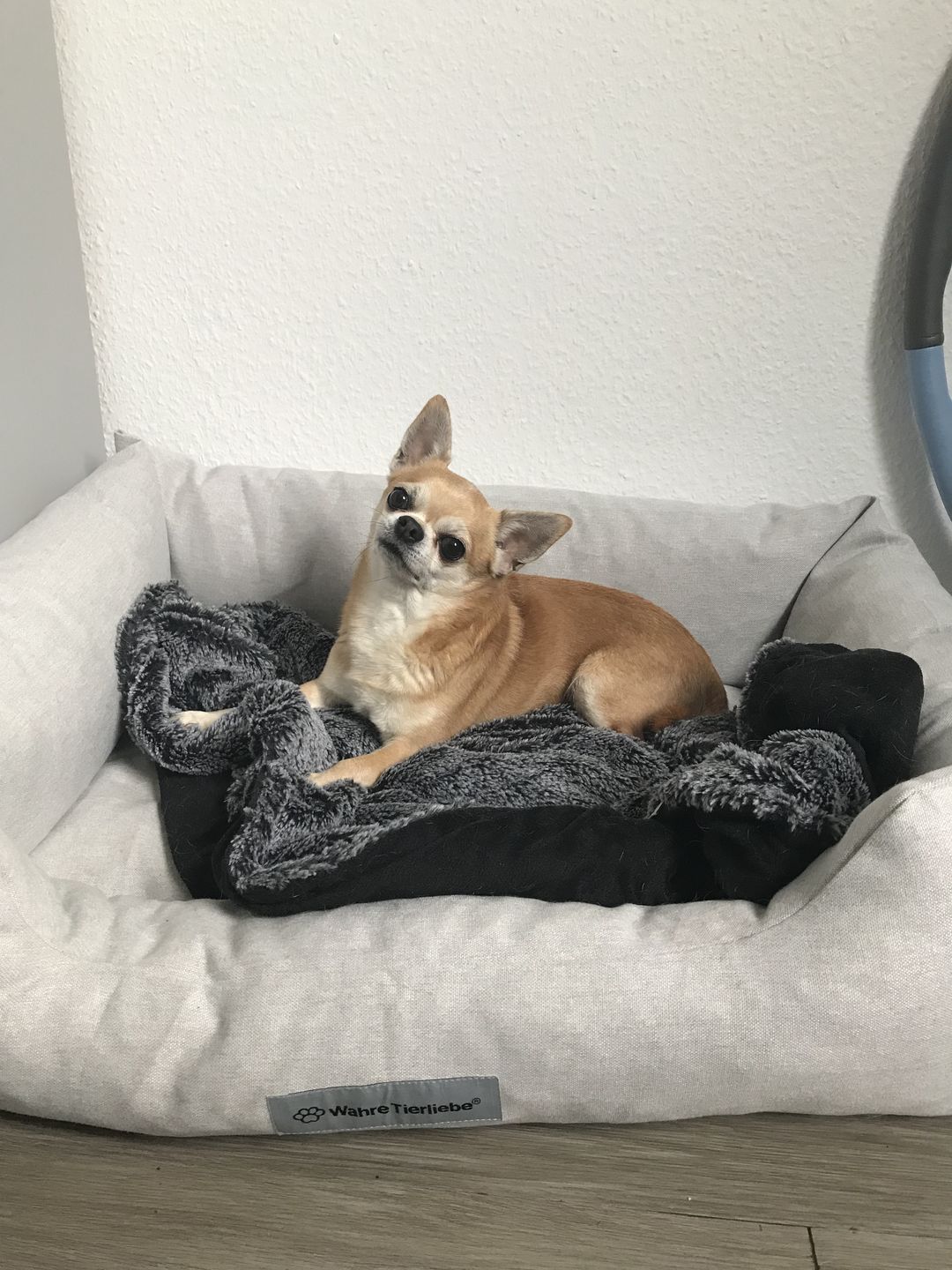 Customer photo review of Persönliche Gravur - Orthopädische Hunde Couch