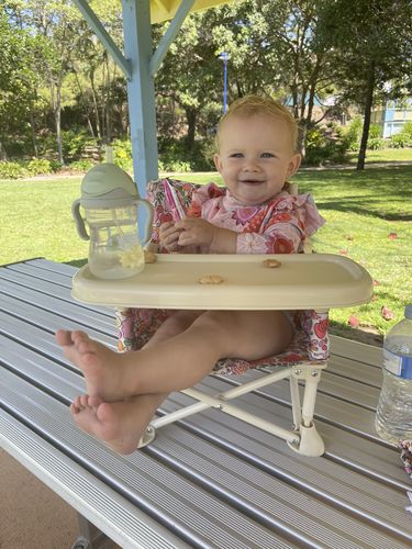 Customer photo review of Paloma baby chair