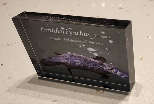 Customer photo review of 7.5 x 12.5 cm Free Standing Acrylic Photo Block