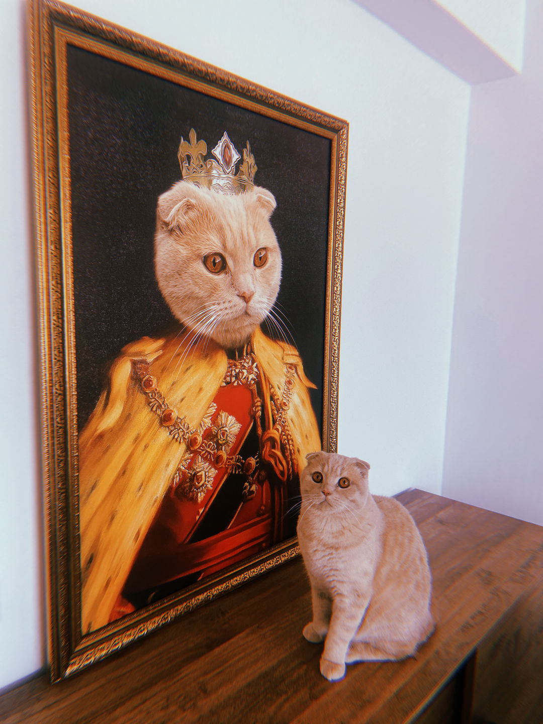 Customer photo review of The King of the Seven Kingdoms