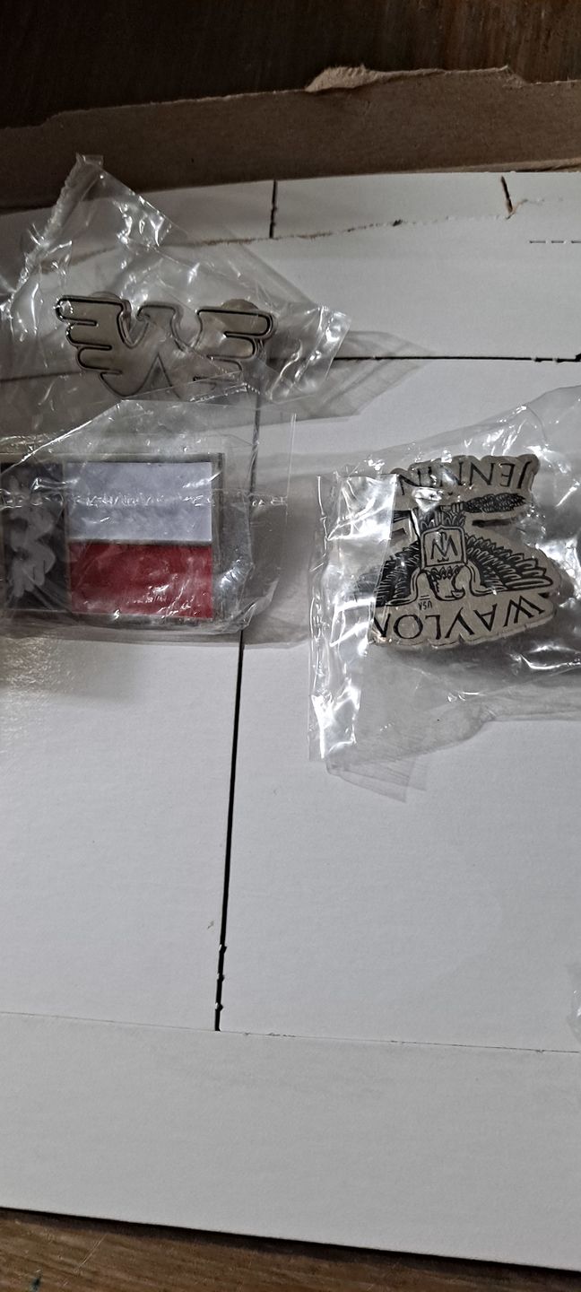 Customer photo review of Waylon Jennings Flying W Texas Eagle Lapel Pin Set