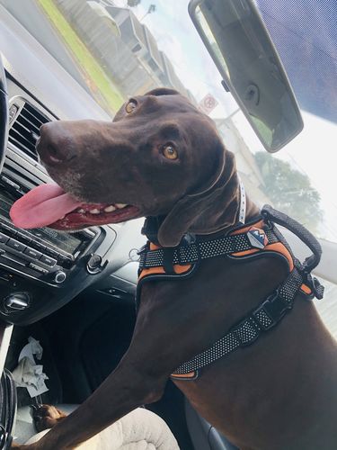 Customer photo review of Explorer Silicone