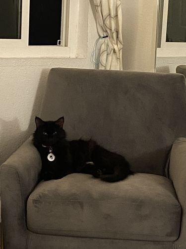 Customer photo review of White