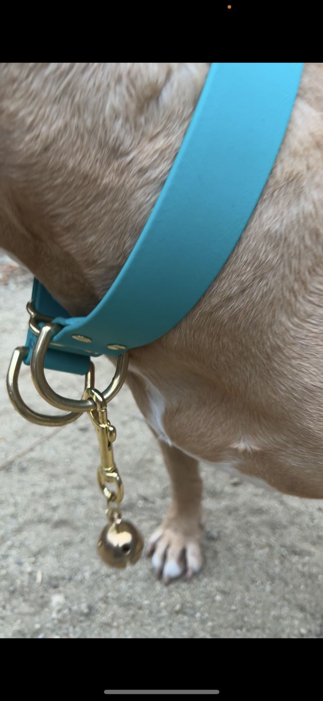 Customer photo review of Hiking Bell
