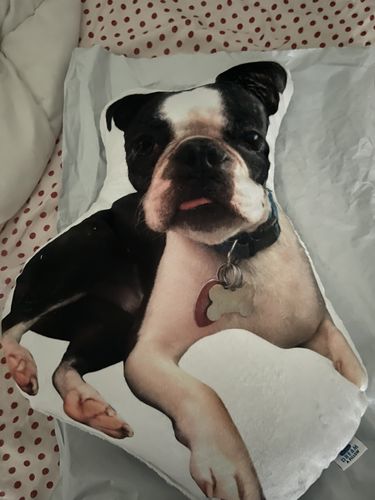 Customer photo review of Create A Custom Dog Pillow