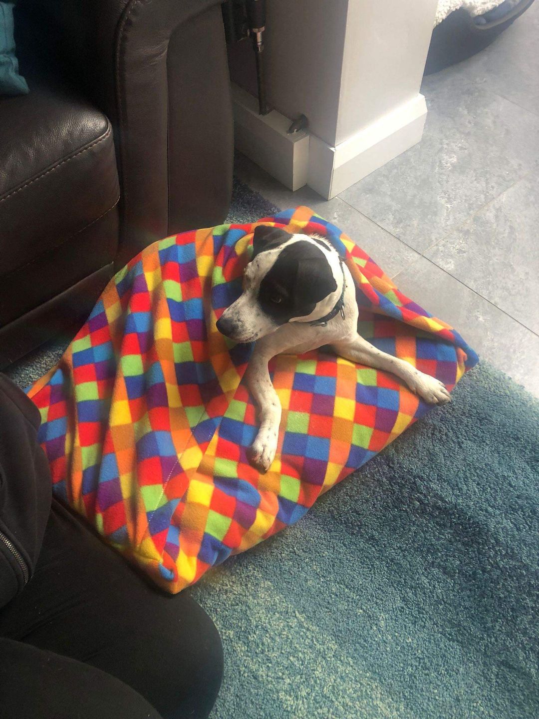 Customer photo review of Multicoloured Squares Anti Pill Polar Fleece Fabric