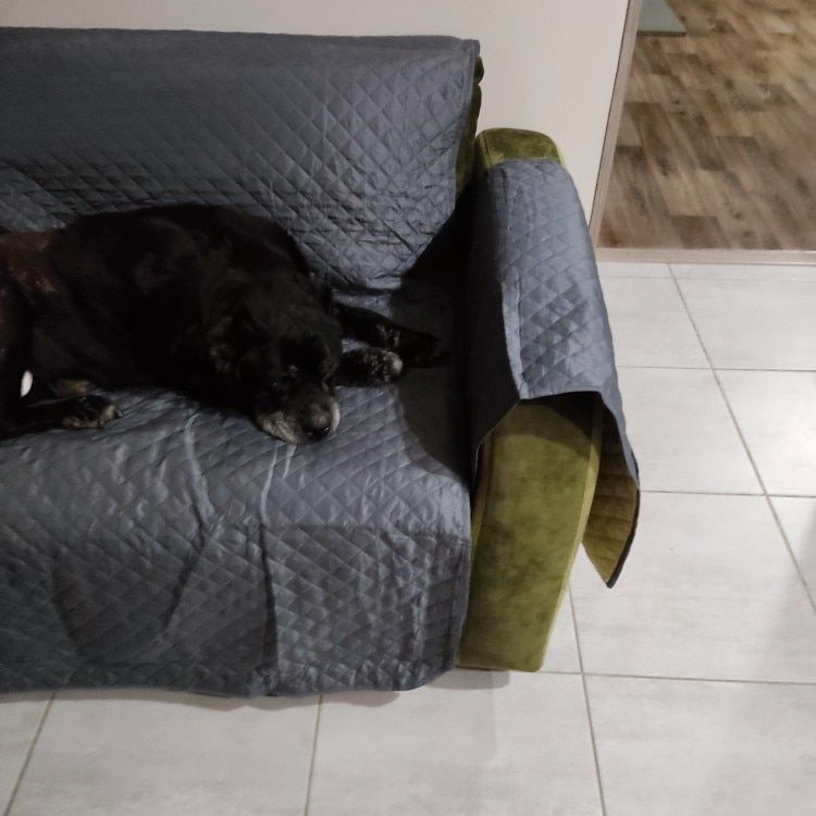 Customer photo review of NEW Machine-Washable, Dryer-Safe Furniture Protector Couch Cover With Side Pockets & Back Straps (+2-In-1 Reversible Colors!)