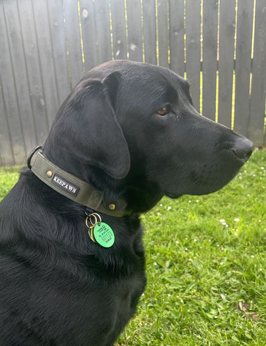 Customer photo review of Keepaws™ Tactical AirTag Collar