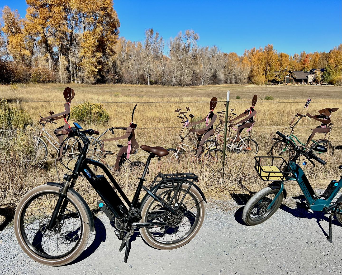 Customer photo review of Low Rider 2.0